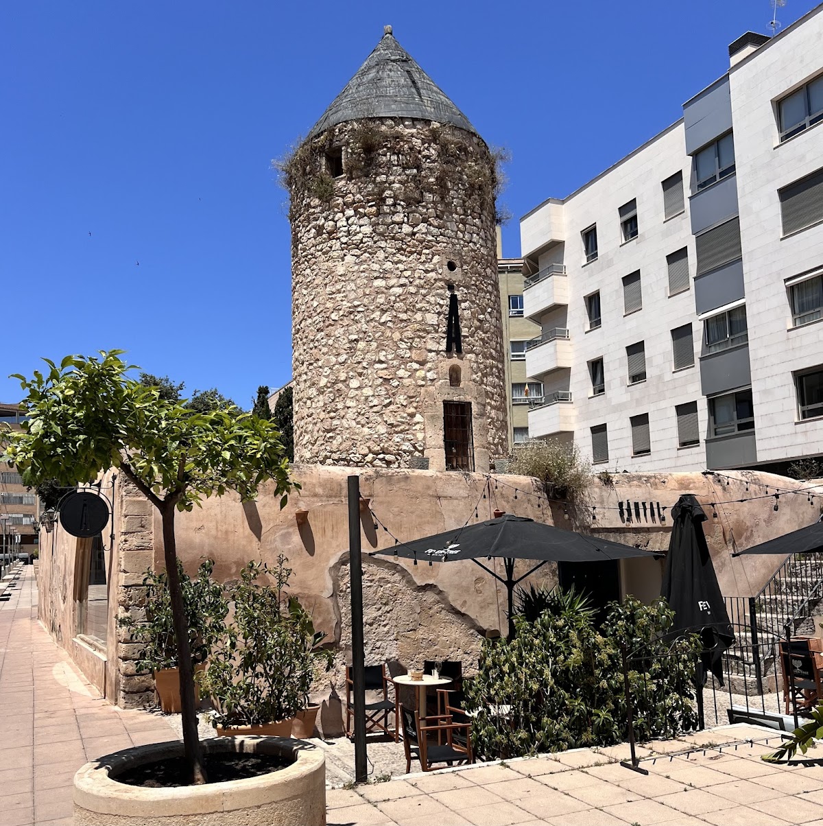 SĀNTAL - Palma
