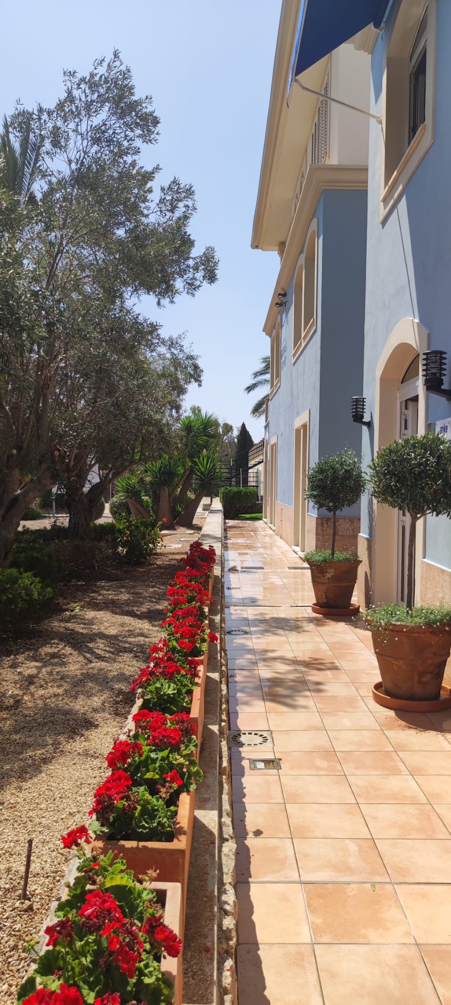 Boulevard Santa Ponsa