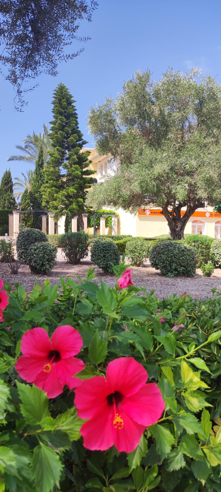 Boulevard Santa Ponsa