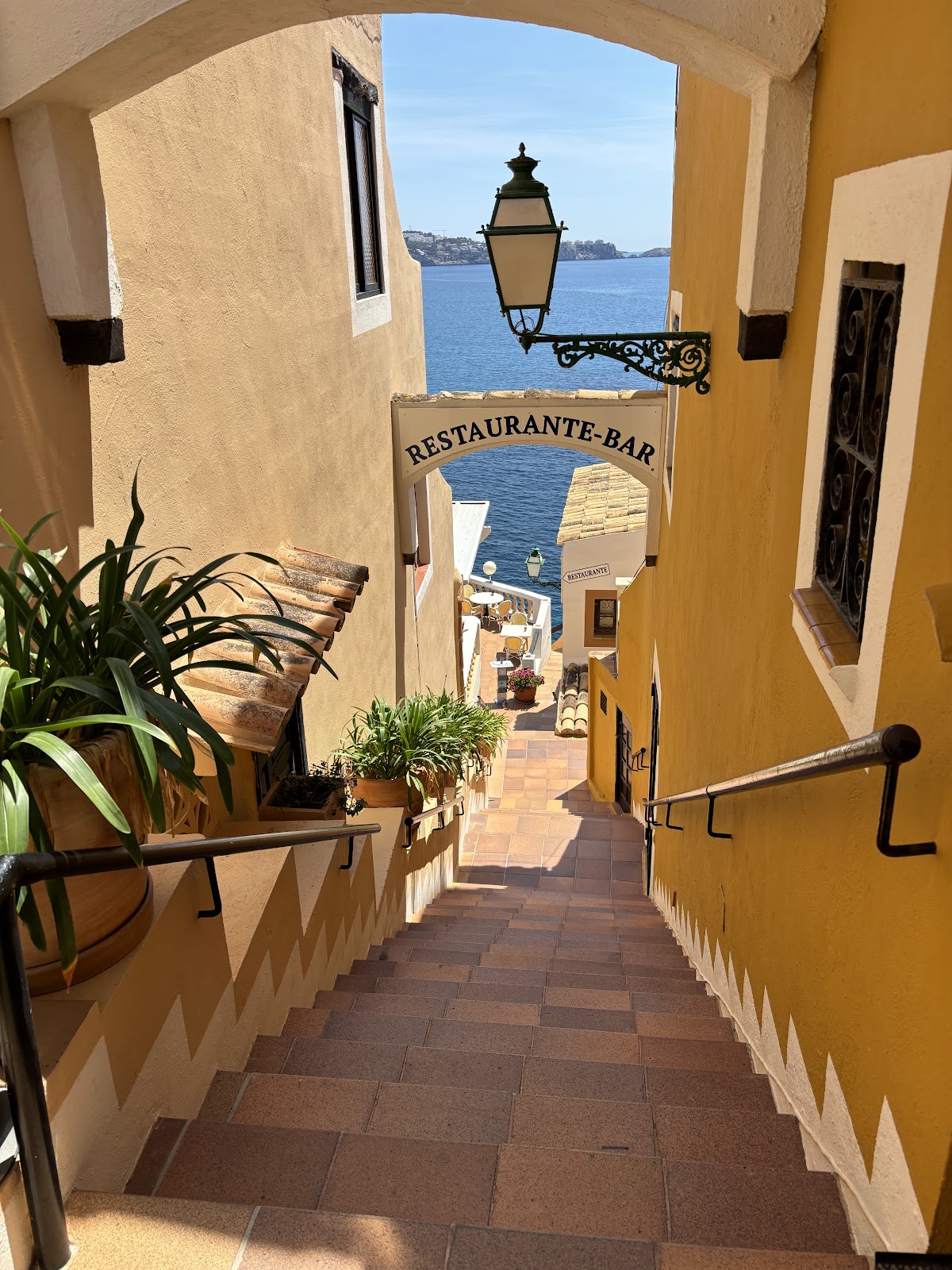 Restaurante La Gran Tortuga