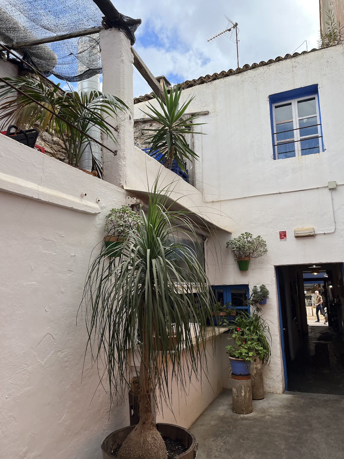La Mar de Vins