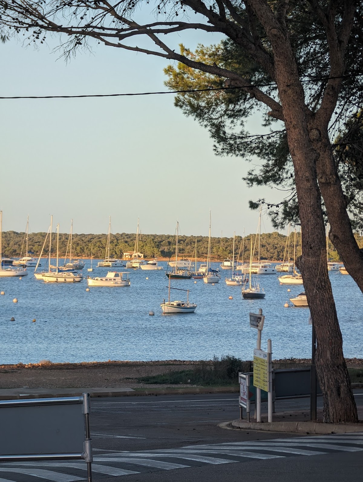 SÍMBOL Portocolom