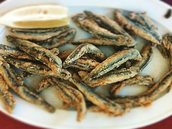 Restaurant Can Madó