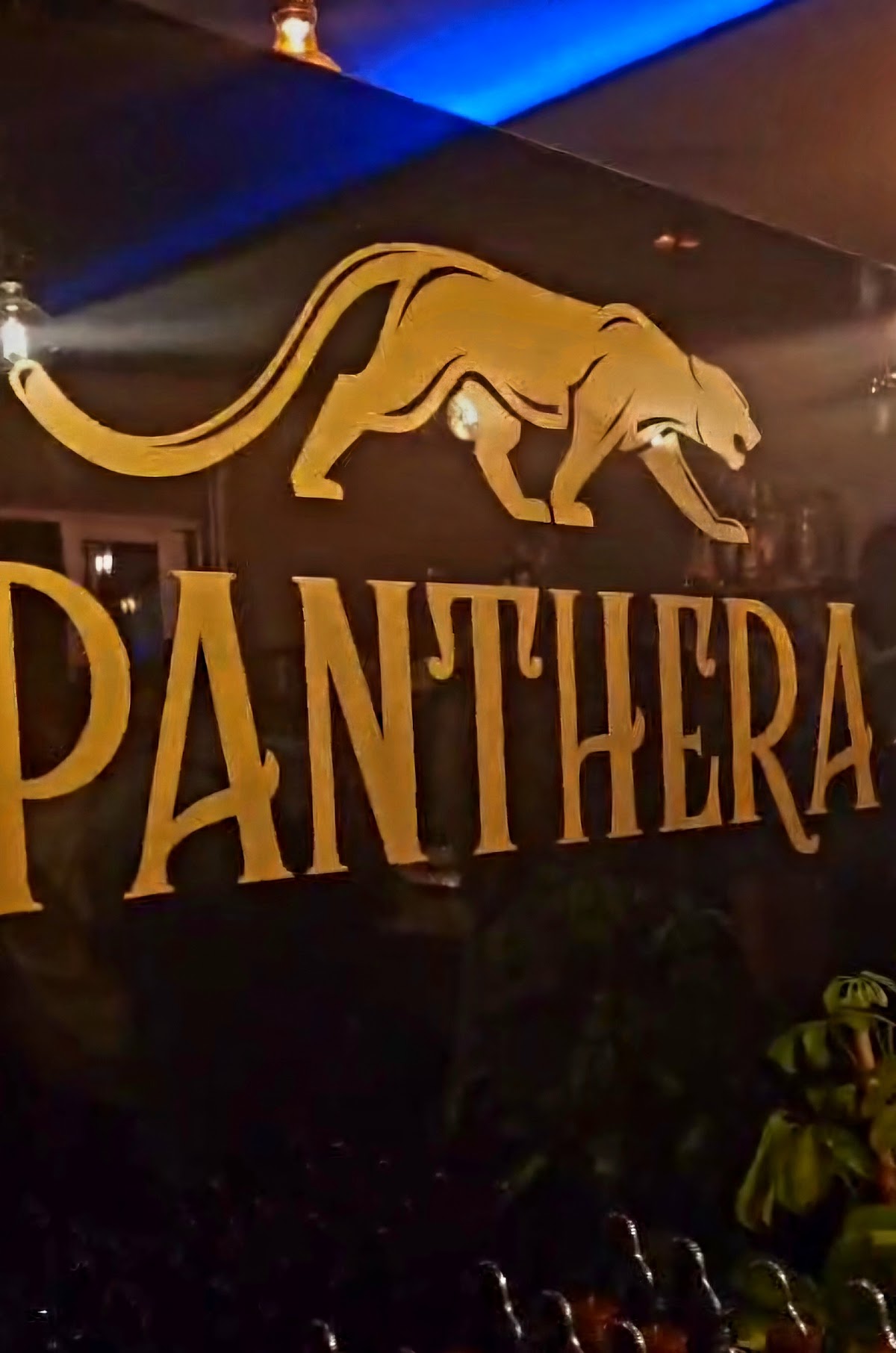 Panthera bar pizzeria