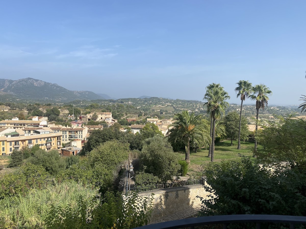 Es Parc - Selva