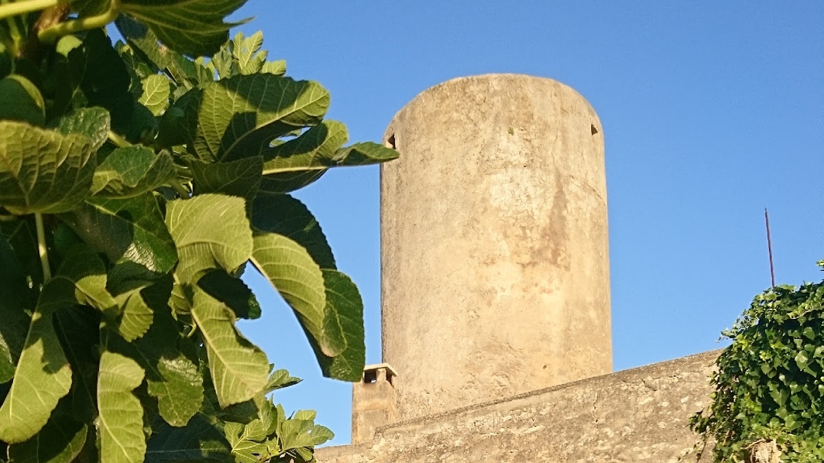 MOLICO