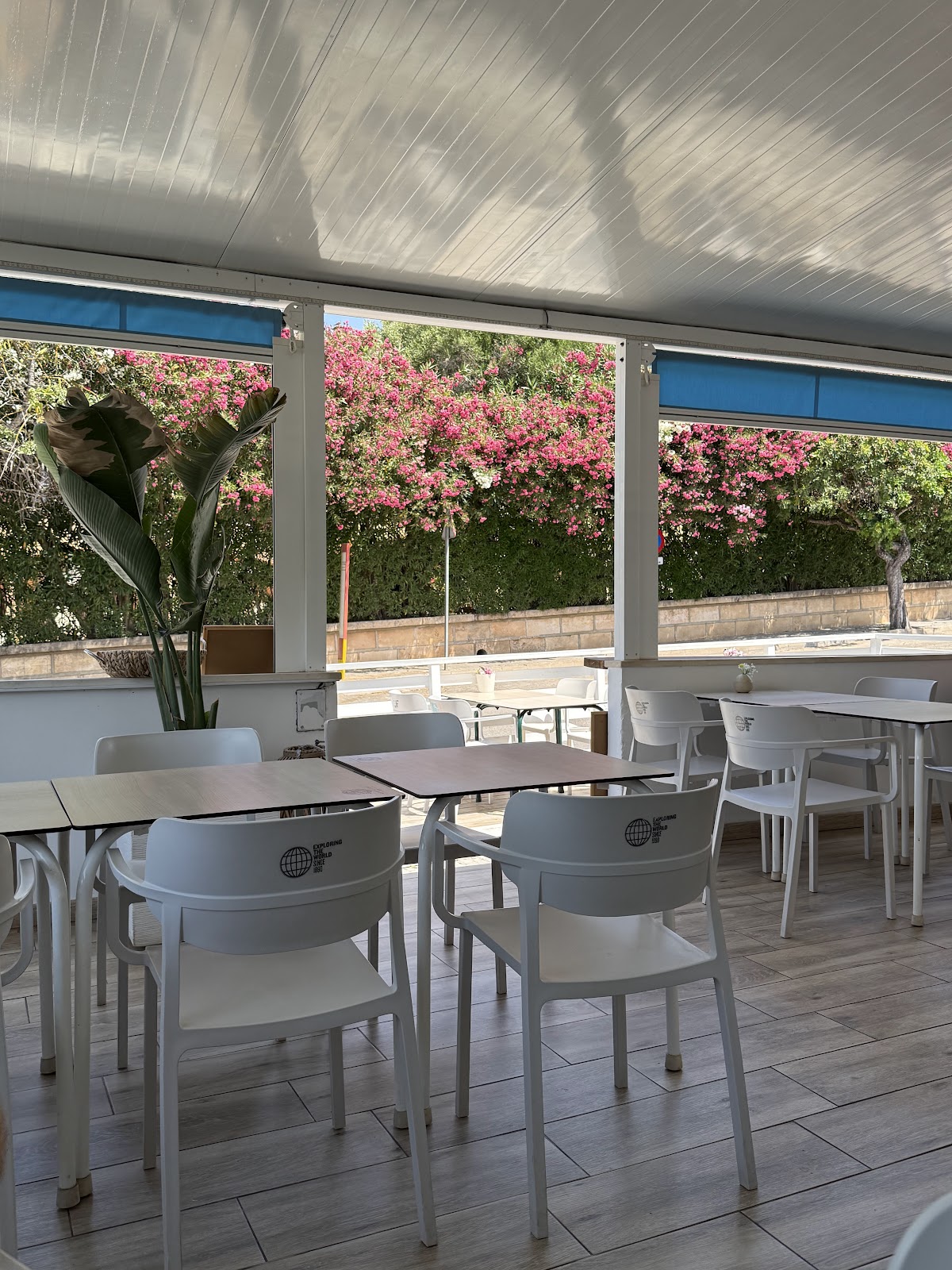 Bar Chiringo