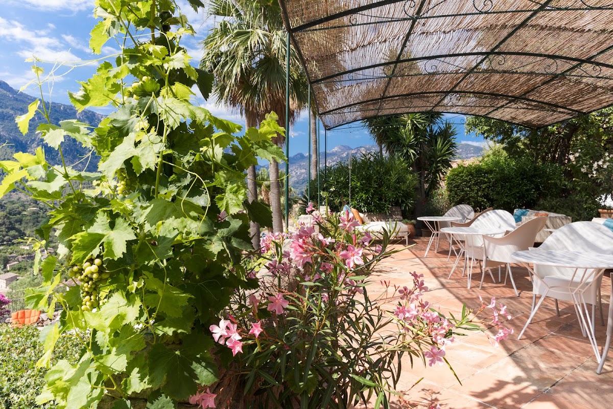 Lounge Bar Can Verdera