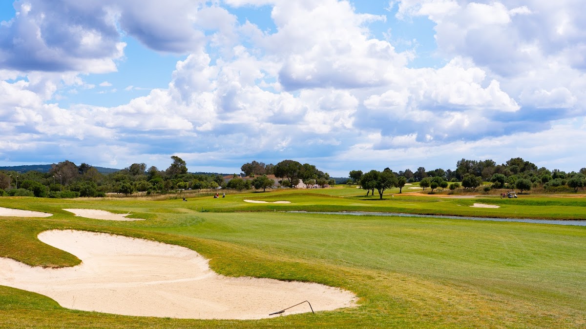 T Golf Palma Puntiro