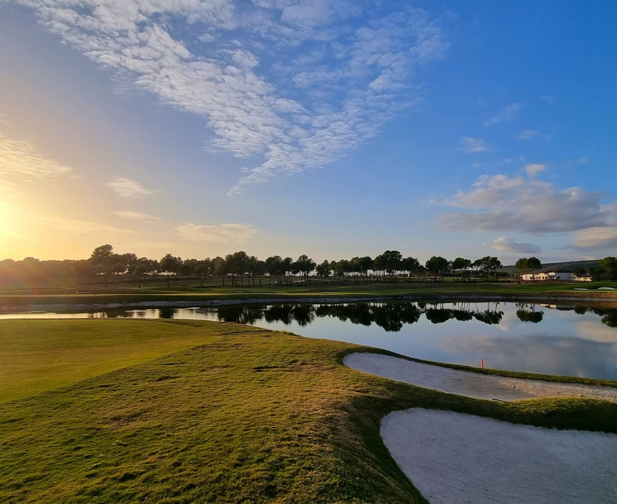 T Golf Palma Puntiro