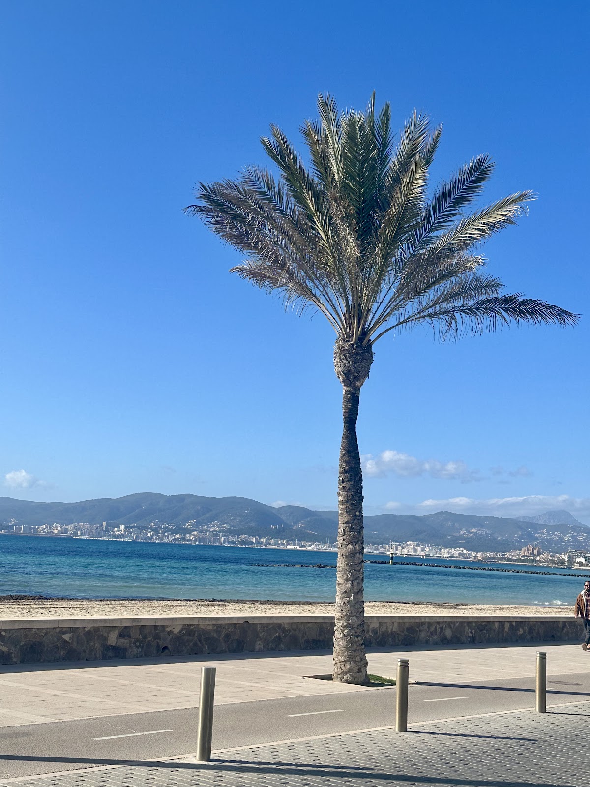 Bar Cala Canta