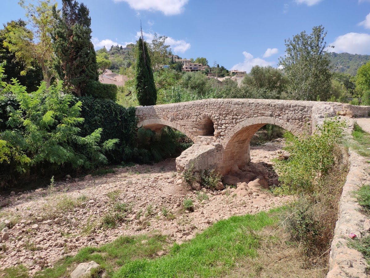 El Perrito Pont Roma | Pollensa