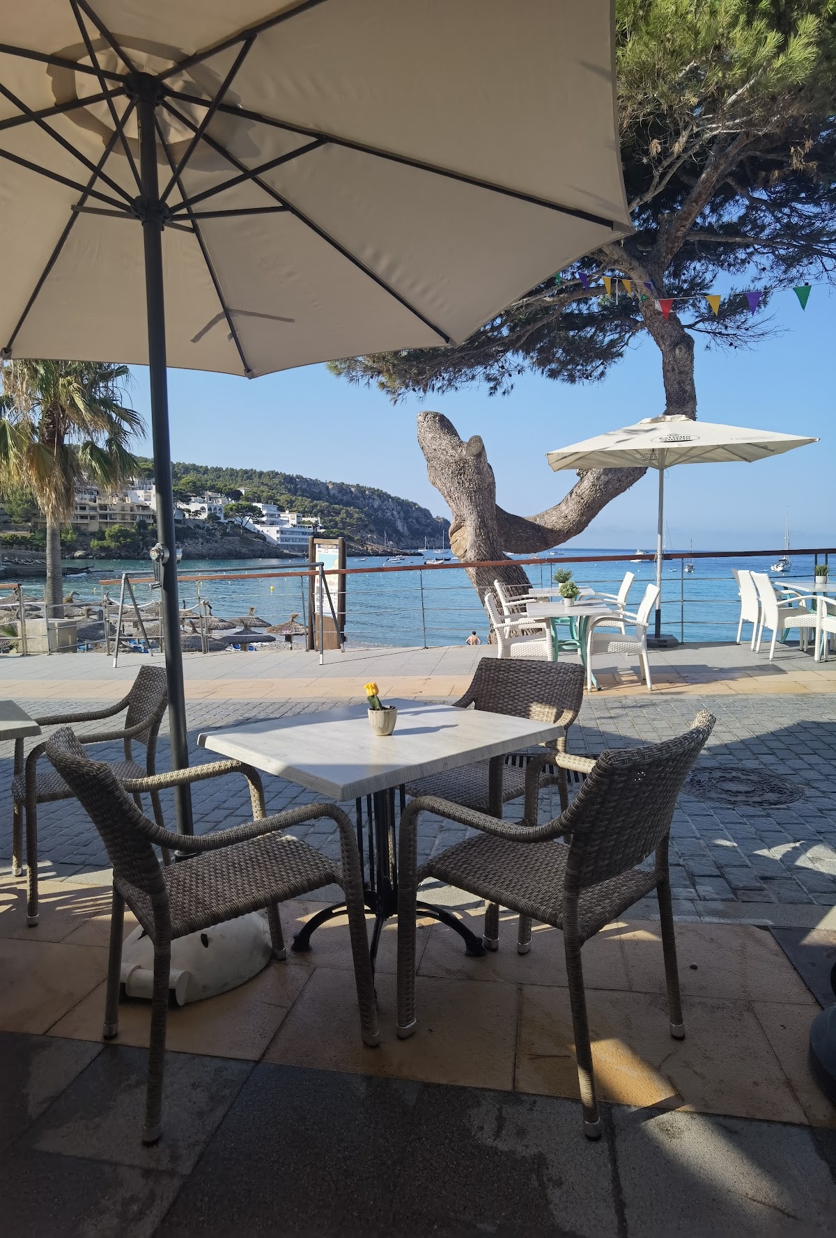 Bar Cafeteria Llaut