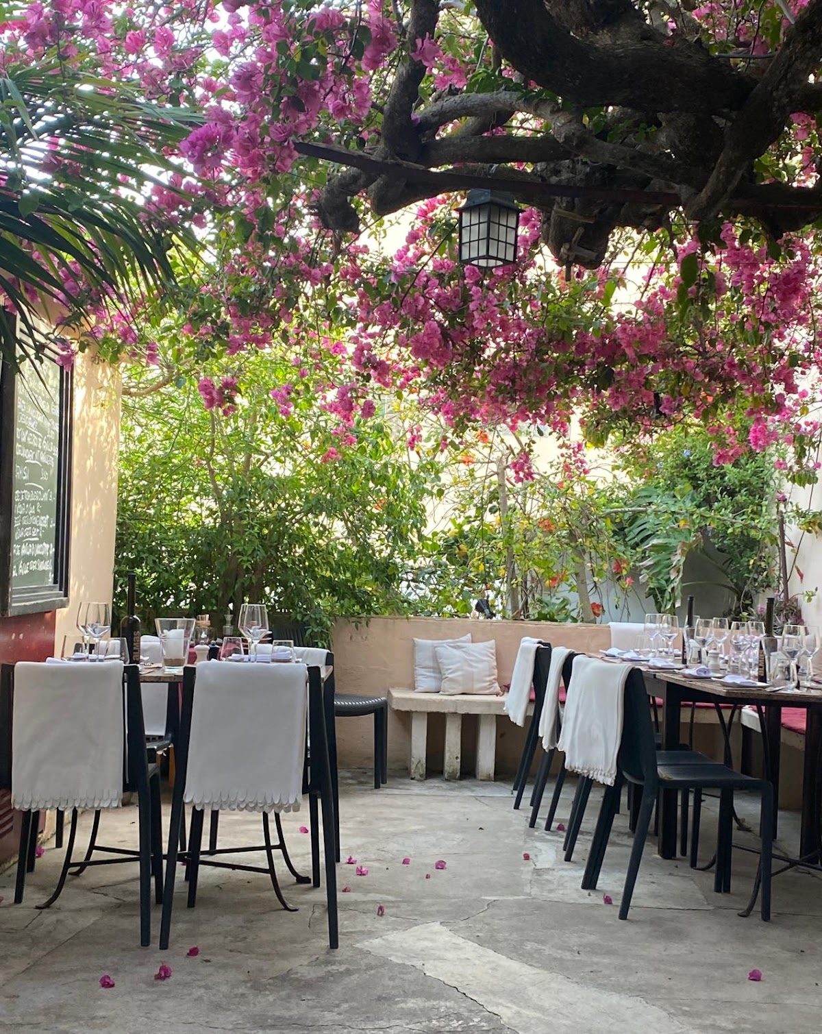 Restaurante Alegría