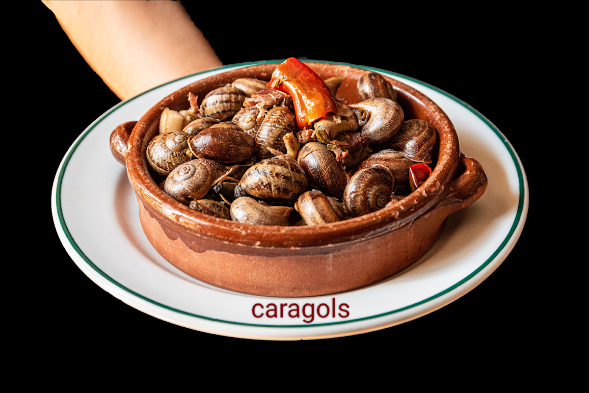 Celler son toreo