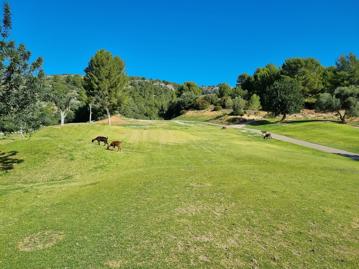 Golf de Son Termens