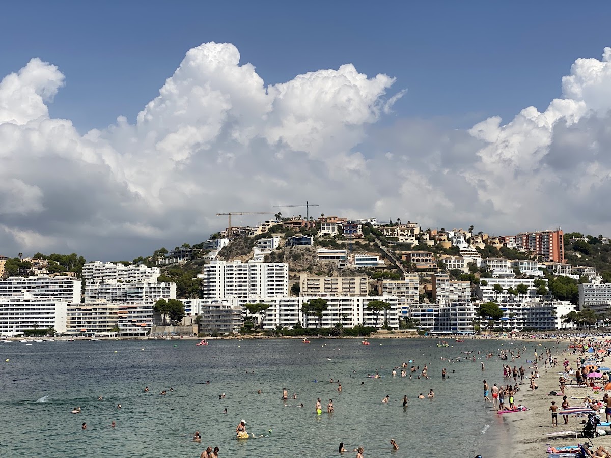 Mercader del Mar