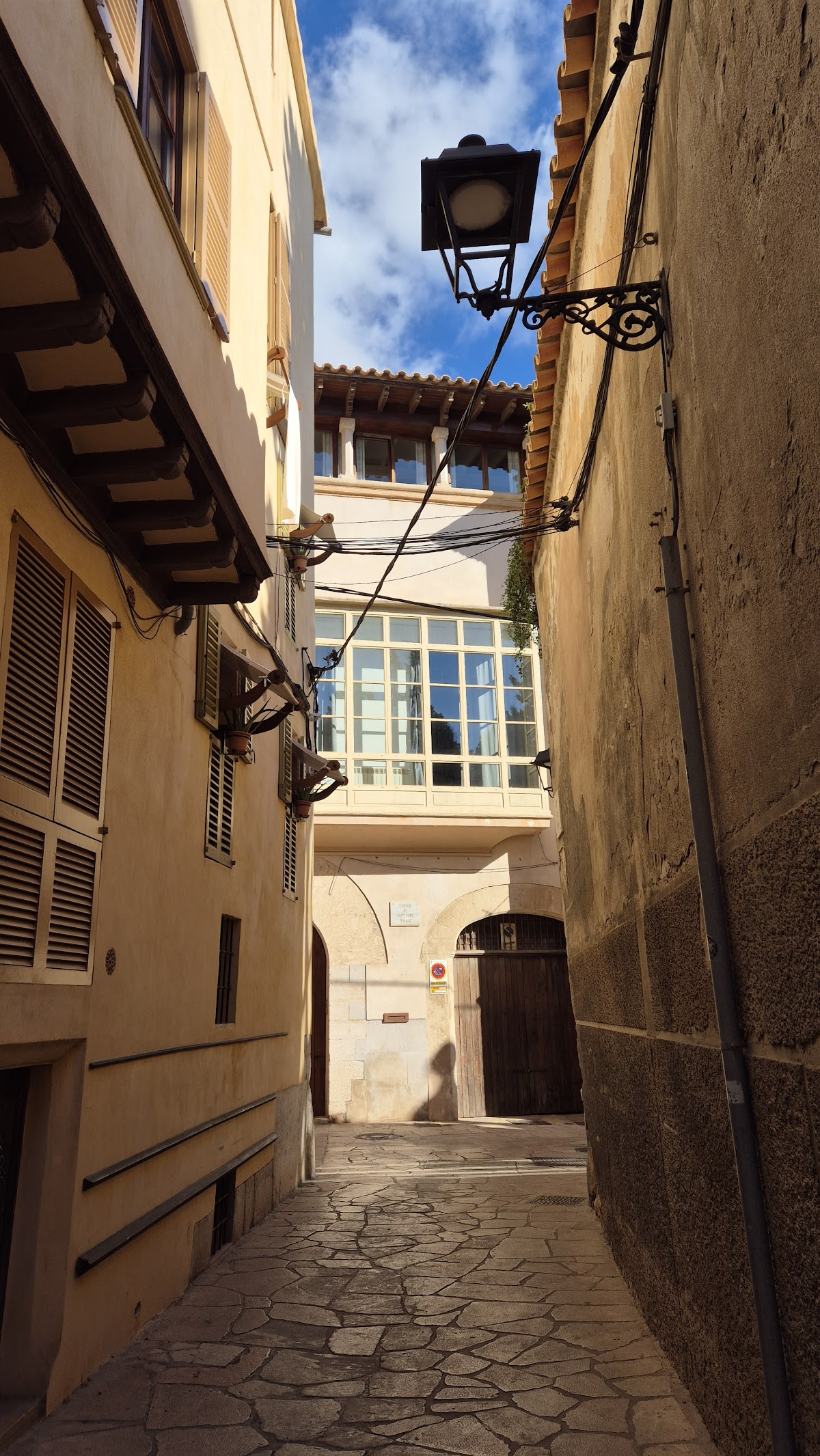 Palma Flamenco