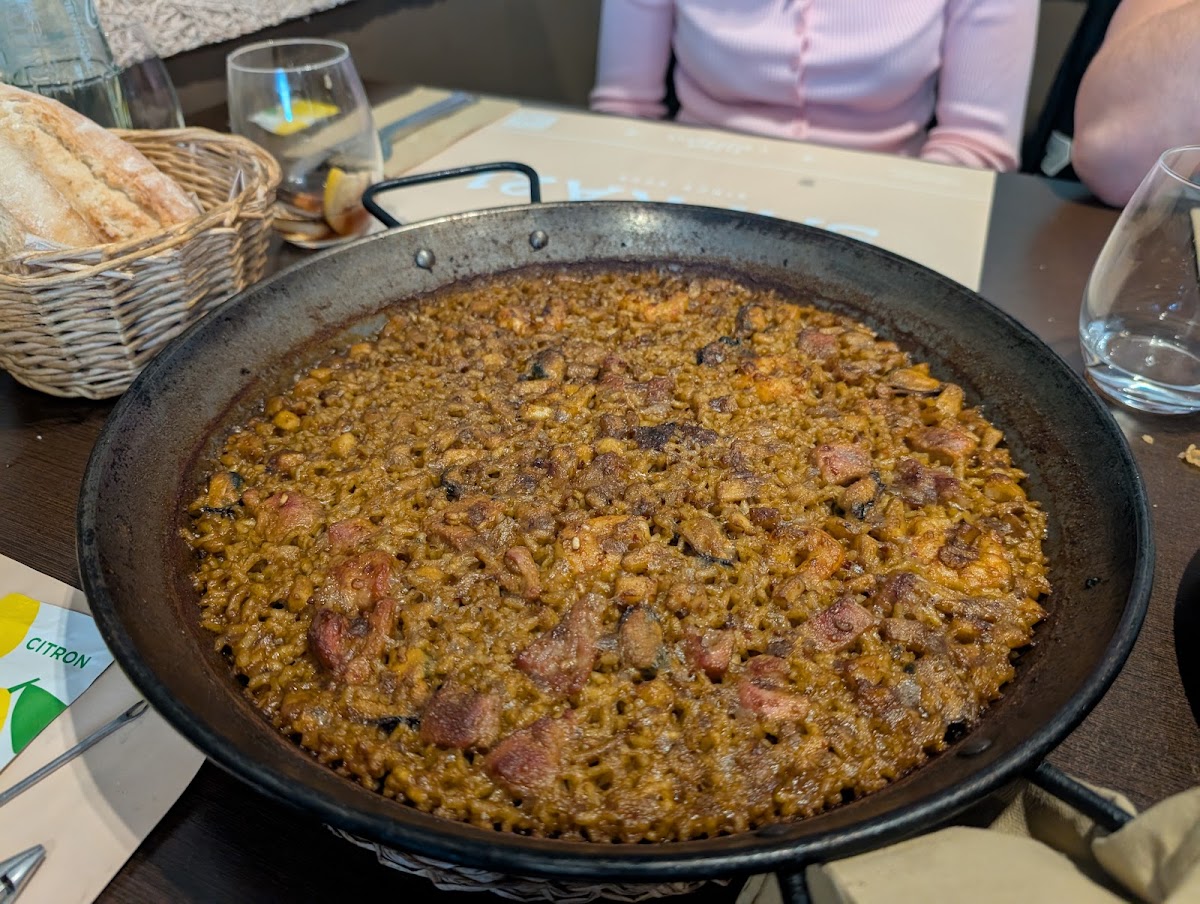 Safrà21