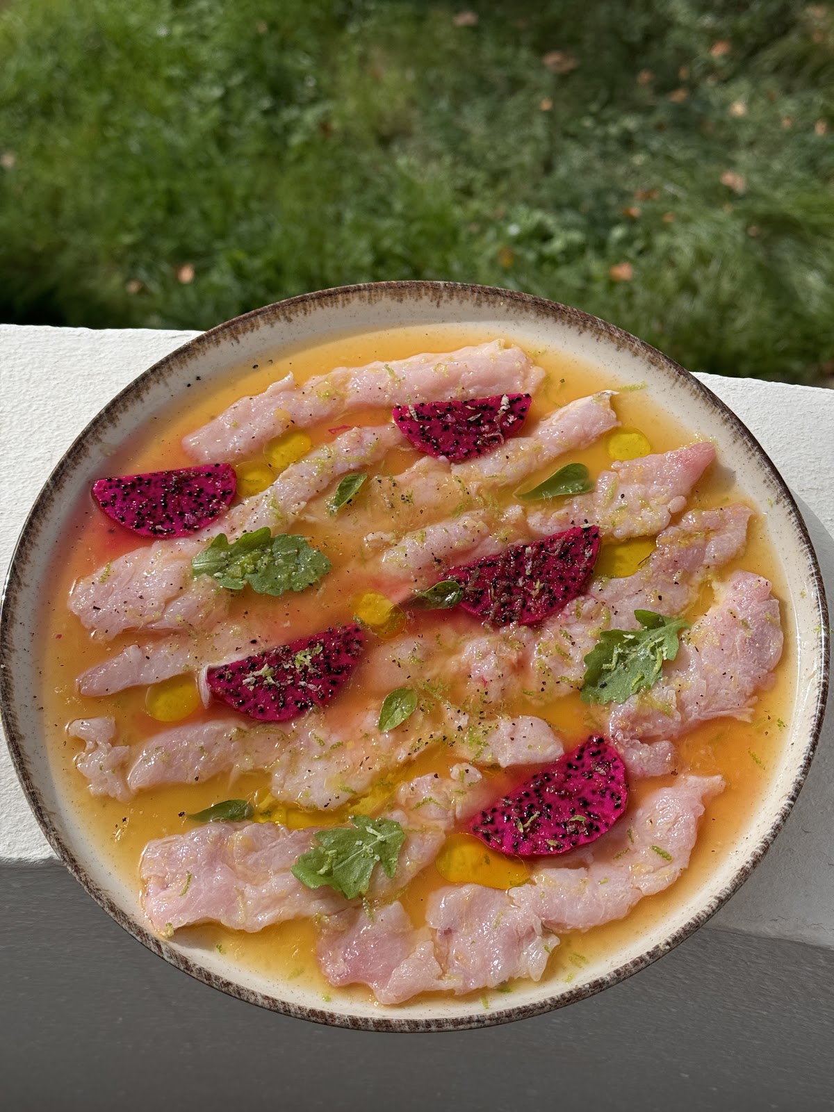 Aura Concierge Gastro | Private Chef