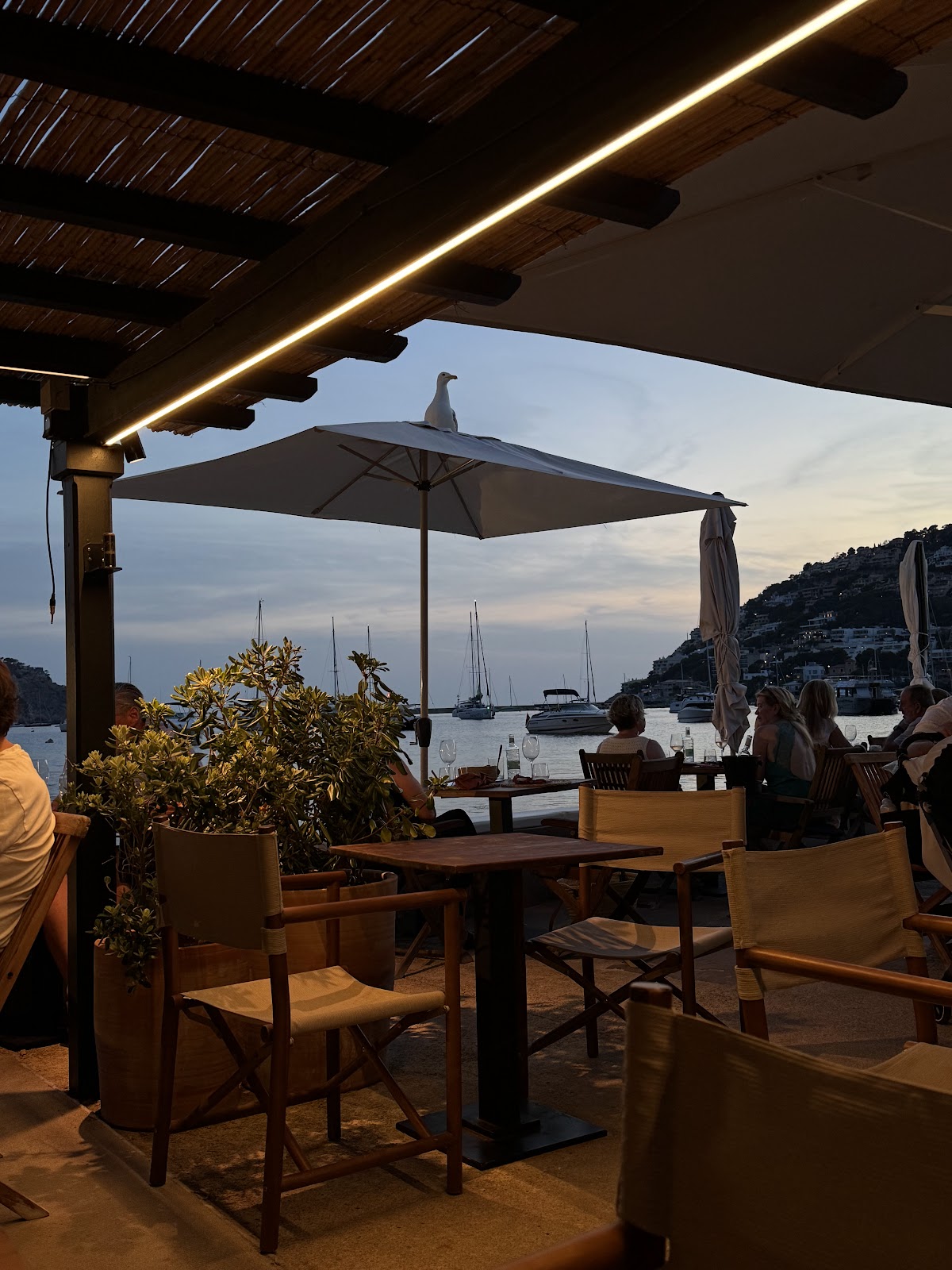 Terraza Brismar
