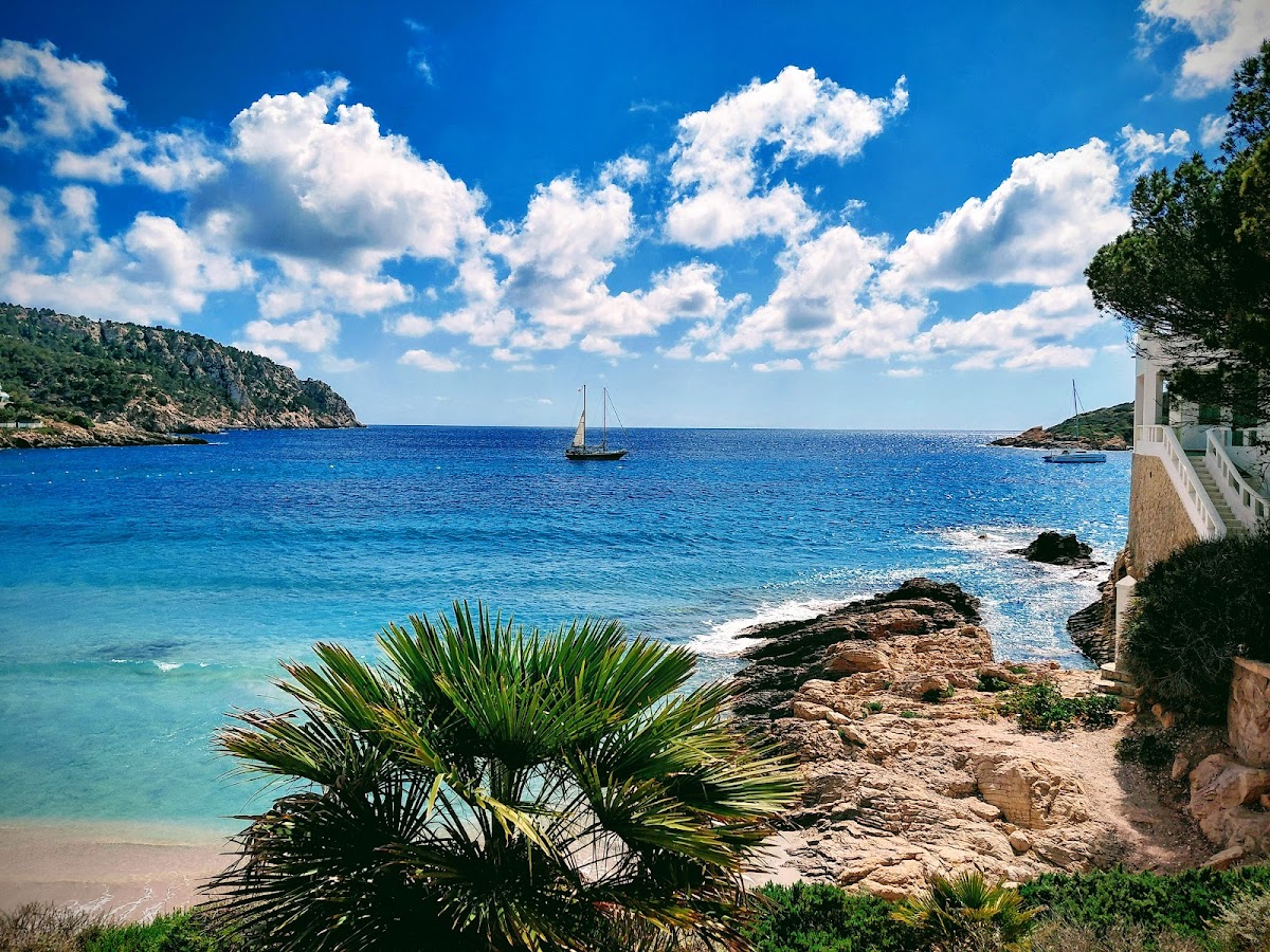 Sant Elm Beach, Restaurant