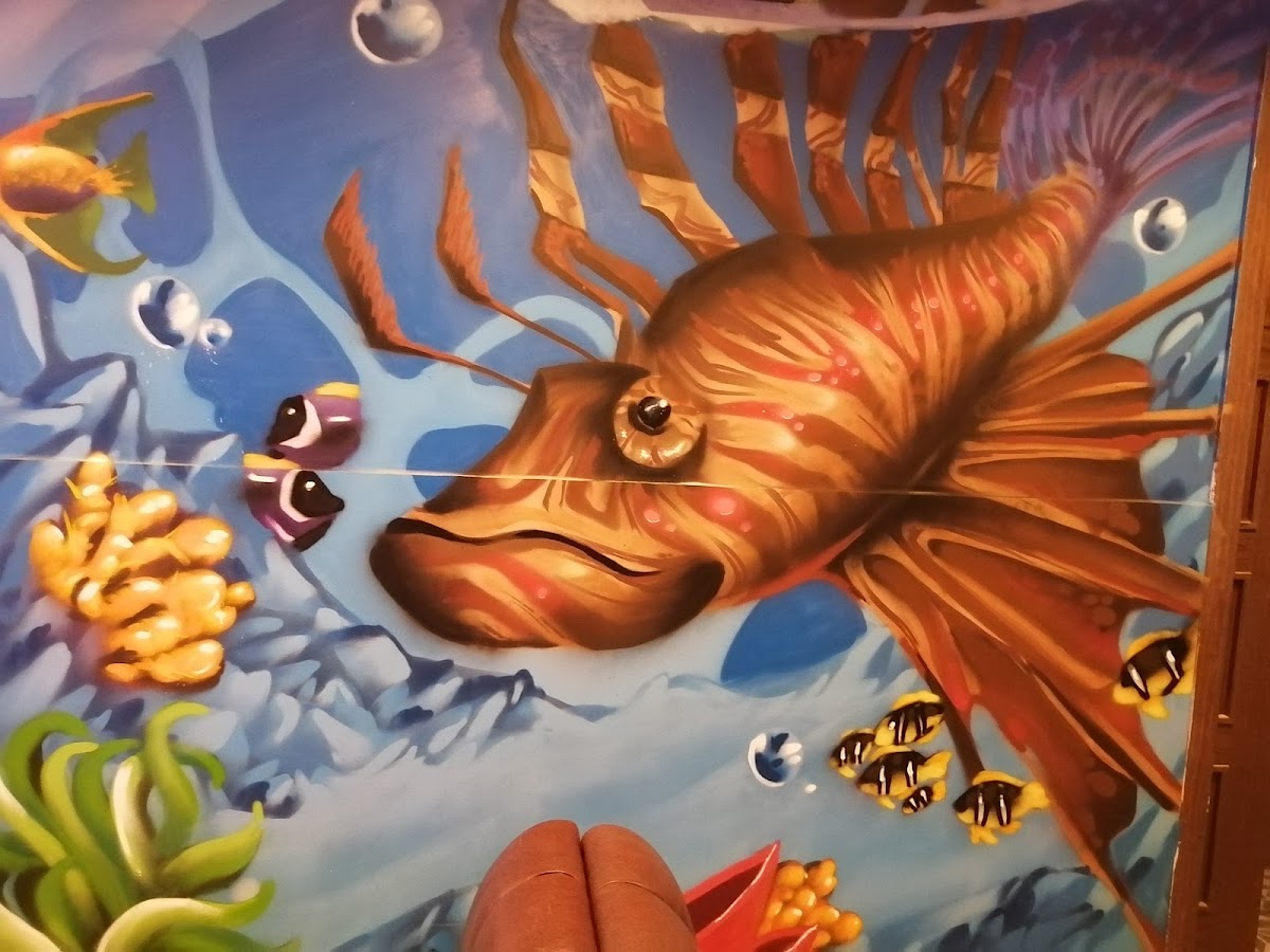 The Reef