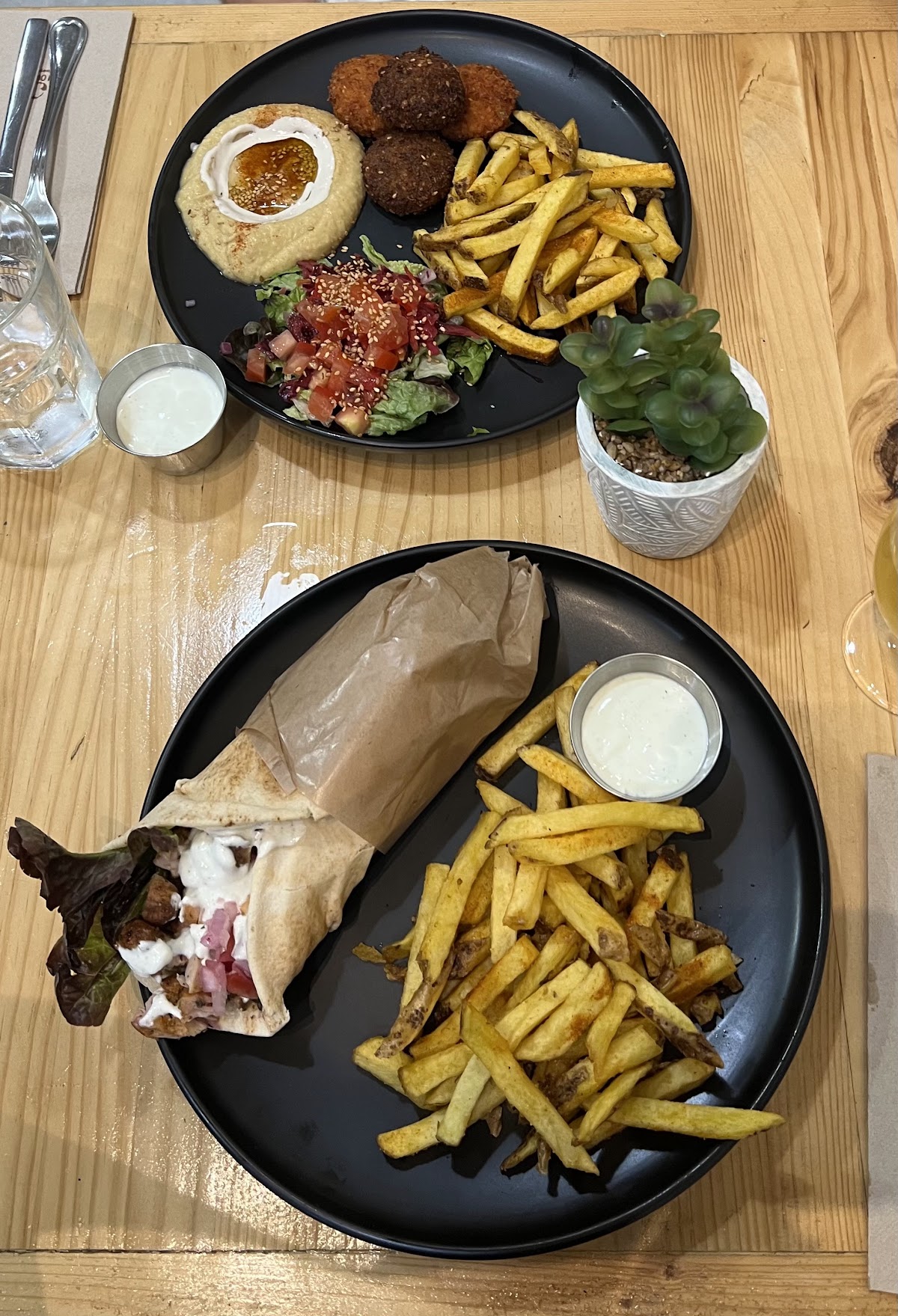PITA CLUB Arxiduc