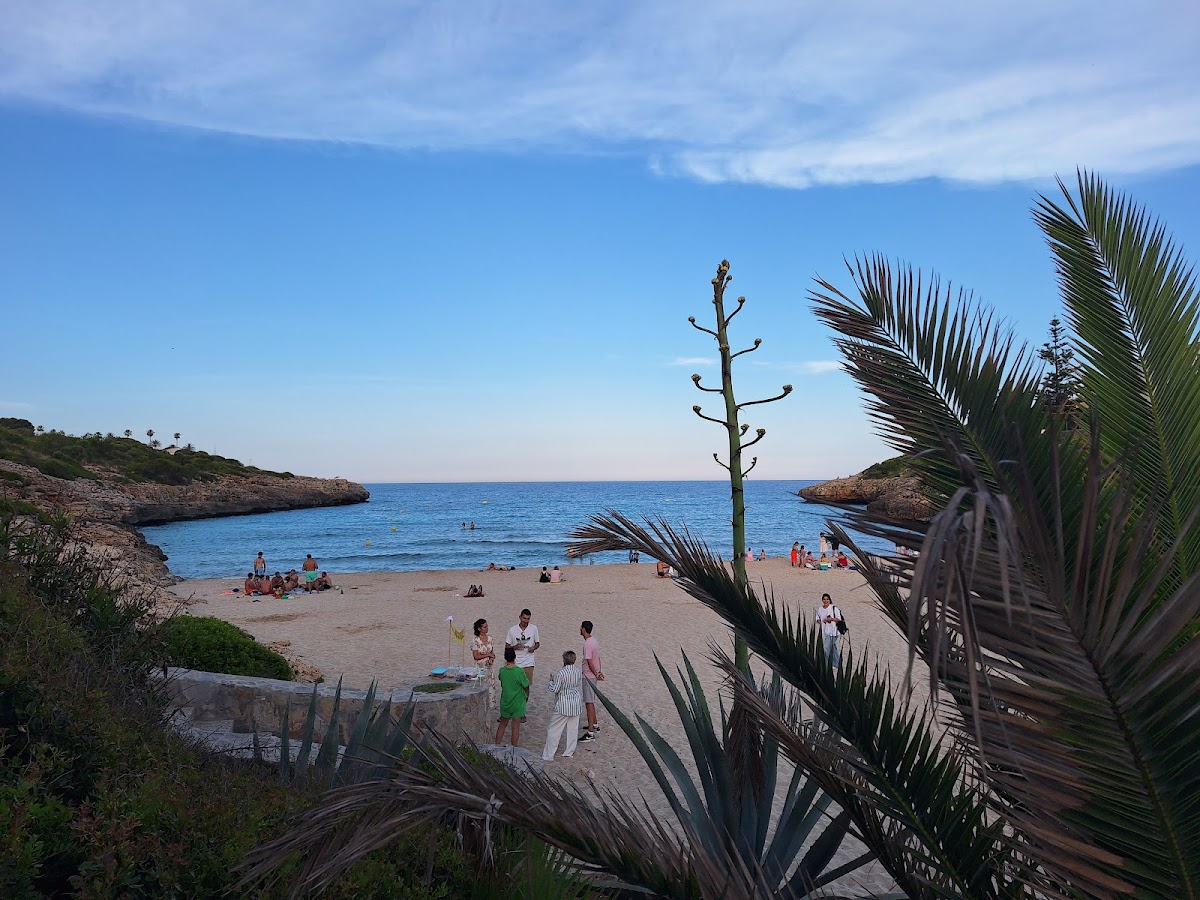 Restaurant Cala Mandia
