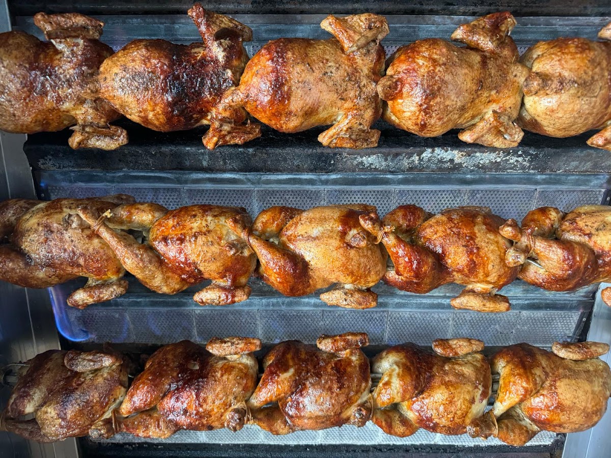 Palma Pollo II