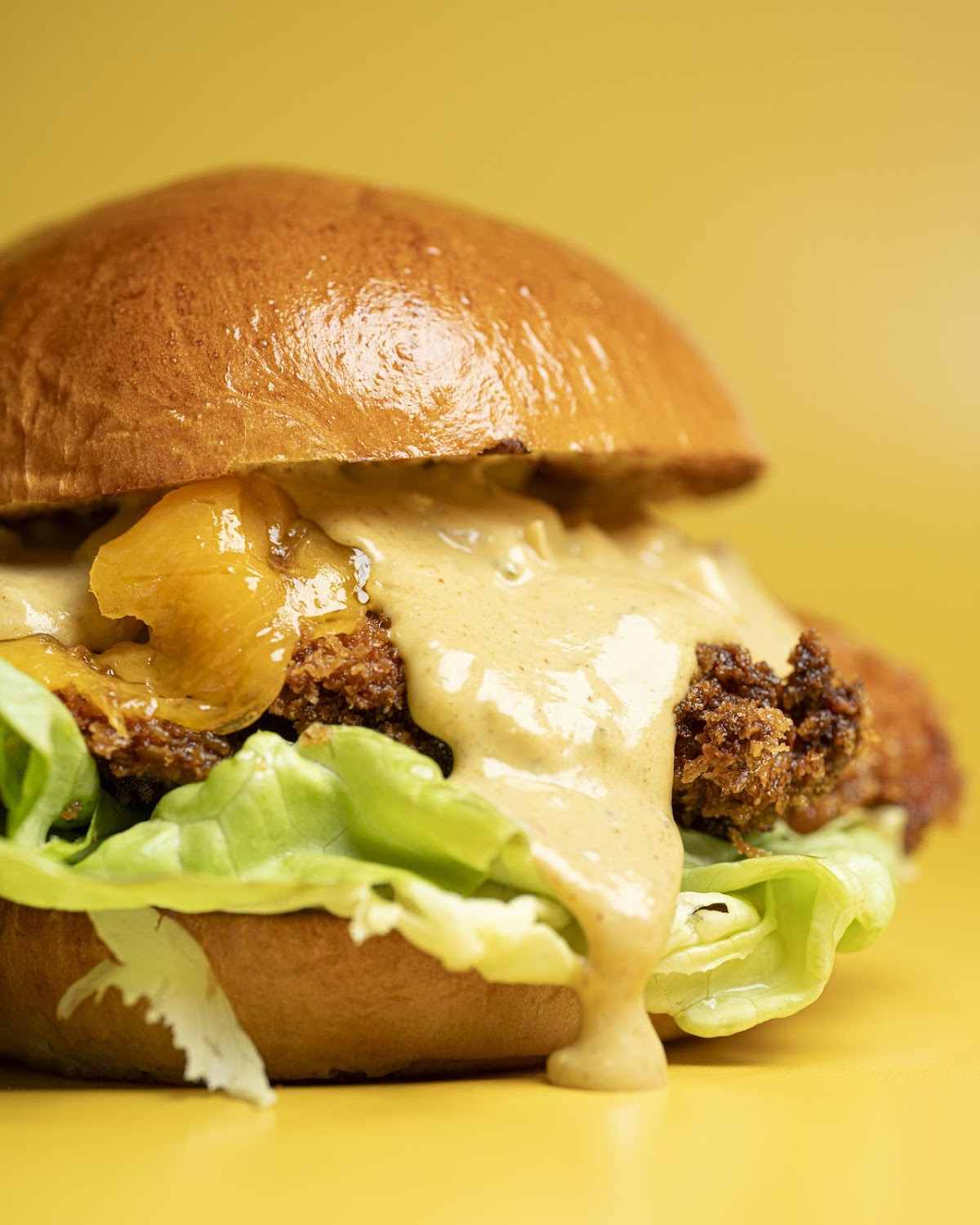 OHHO Burger