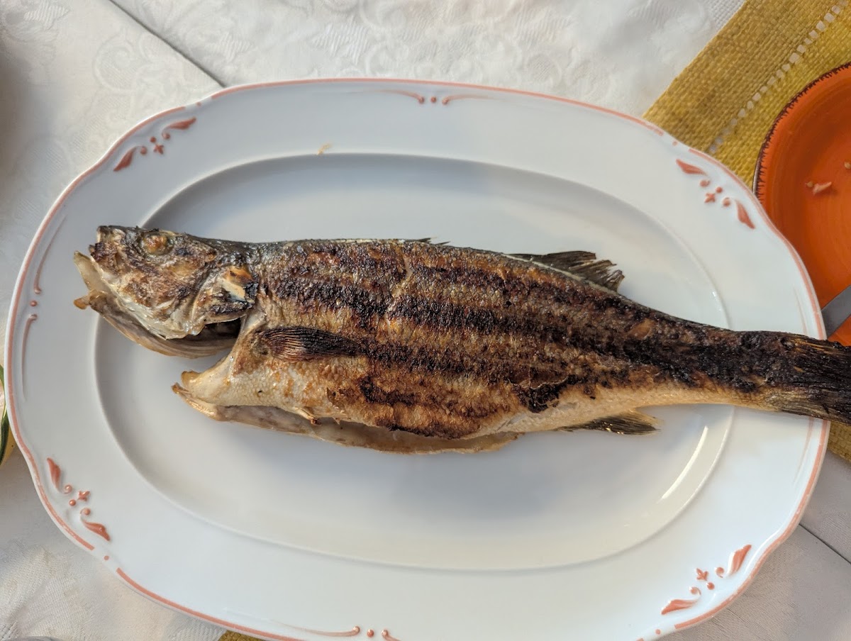 Acuarium tapas