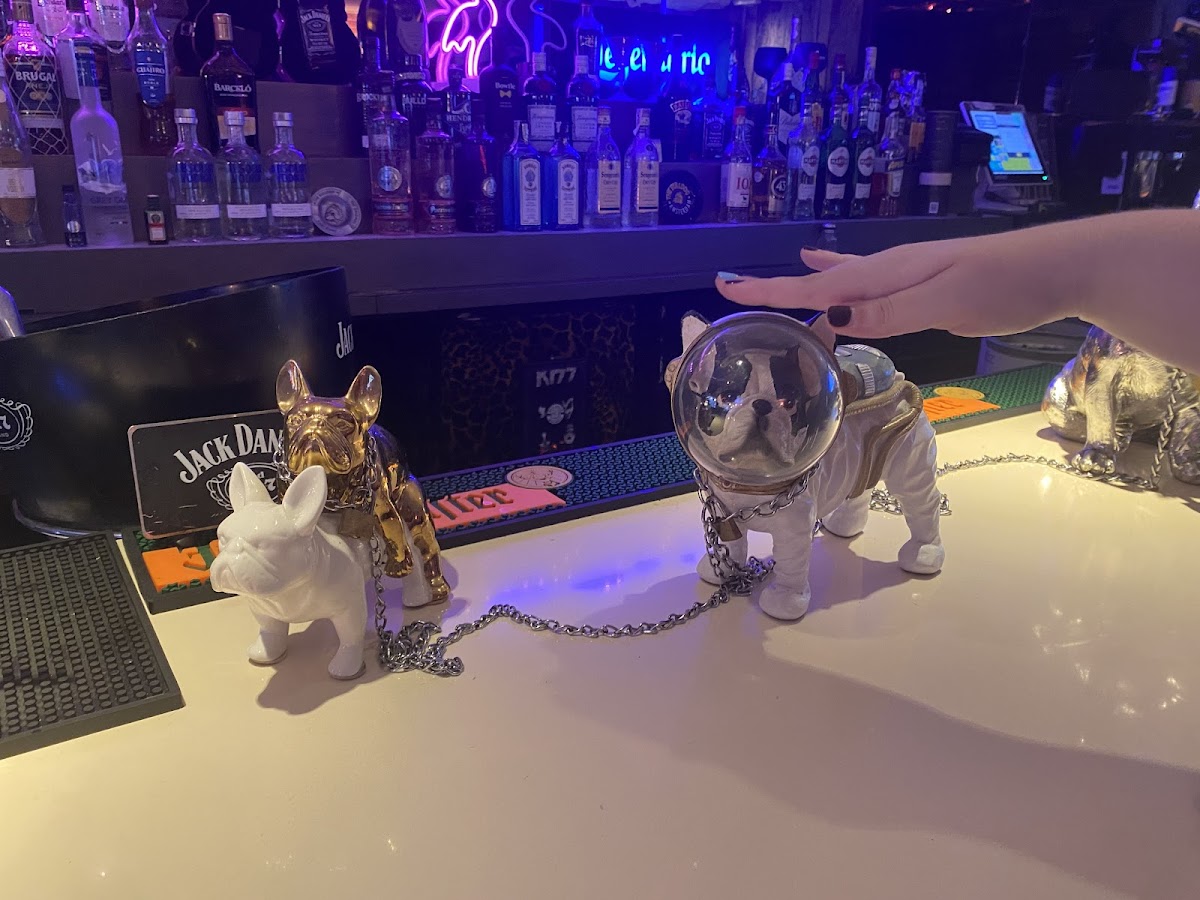 Bulldog Mallorca