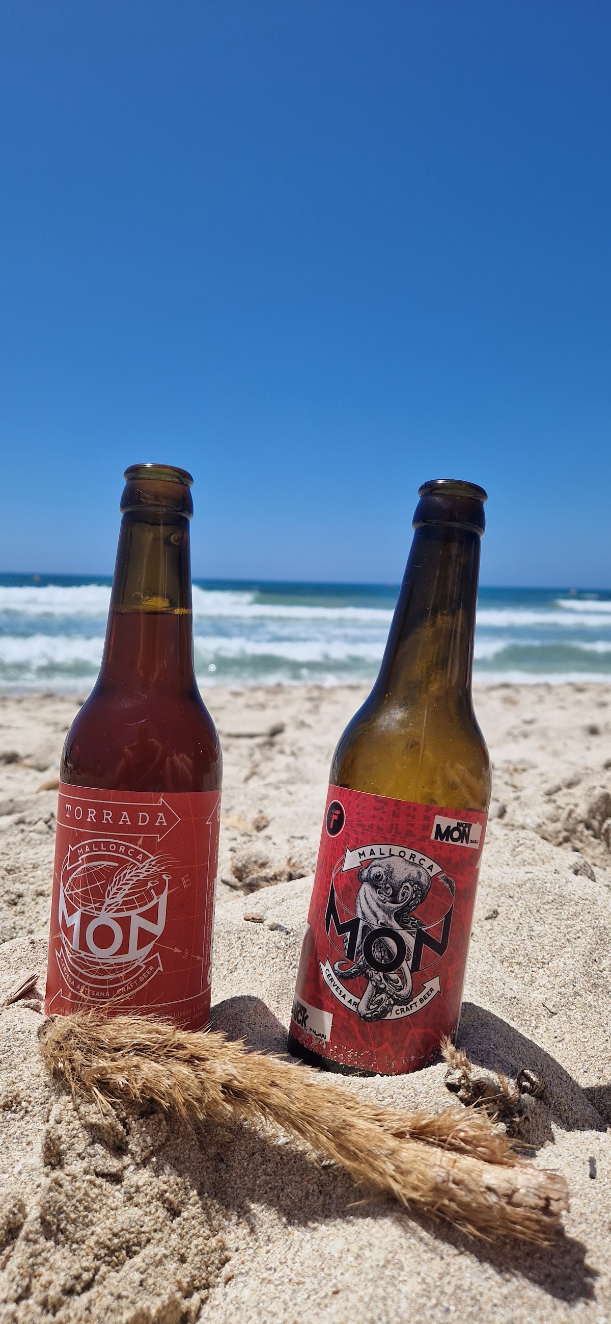 Món, cervesa artesana