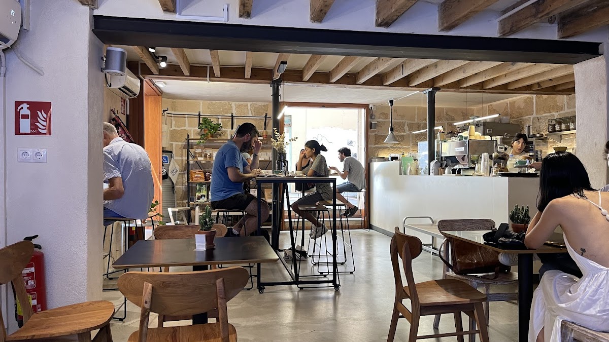 Surry Hills | Brunch Palma