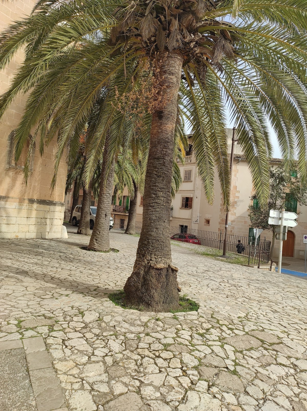 Porreres
