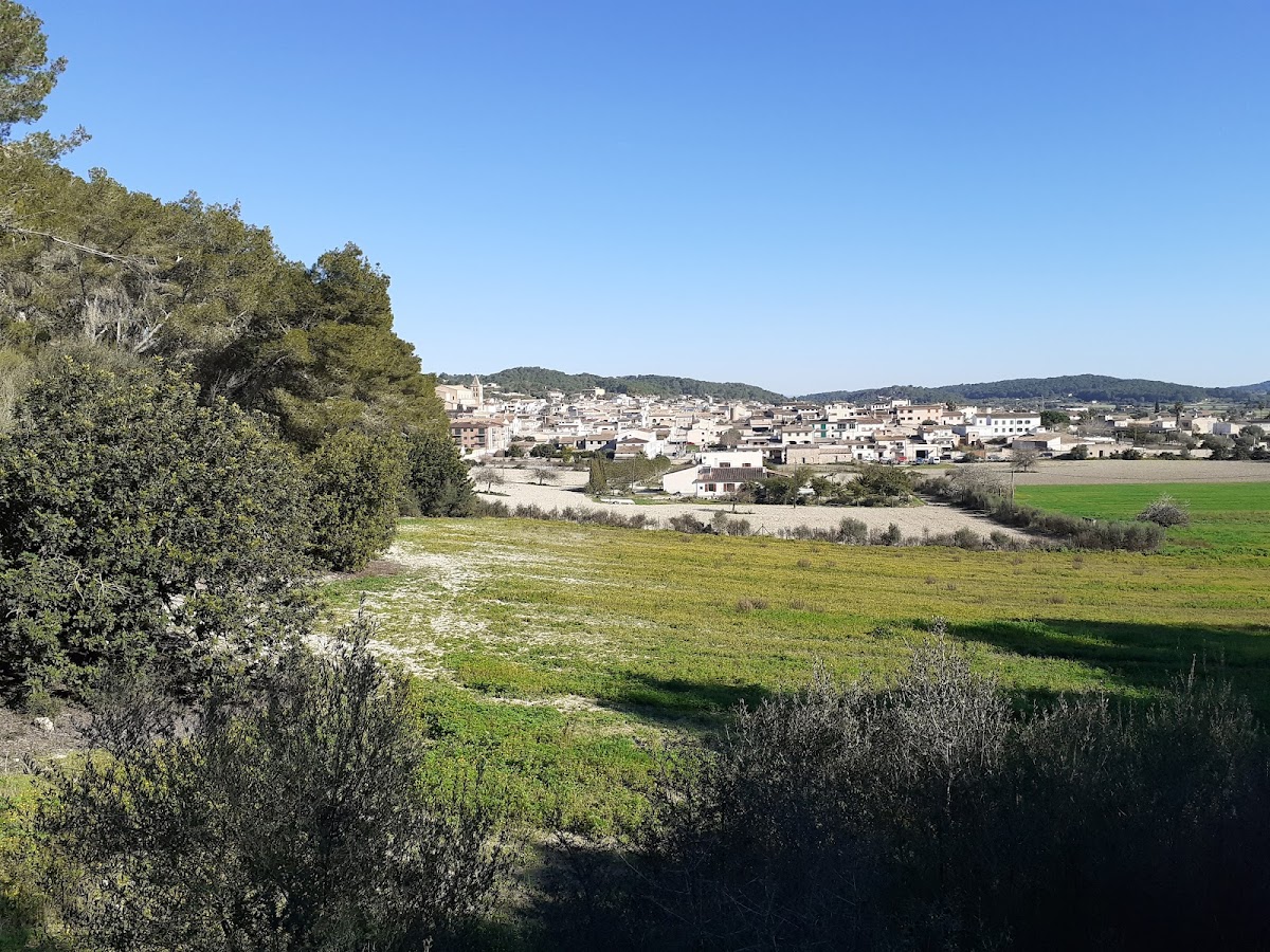 Sant Joan